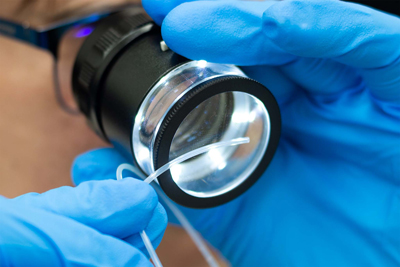 Magnifier Inspection Tool